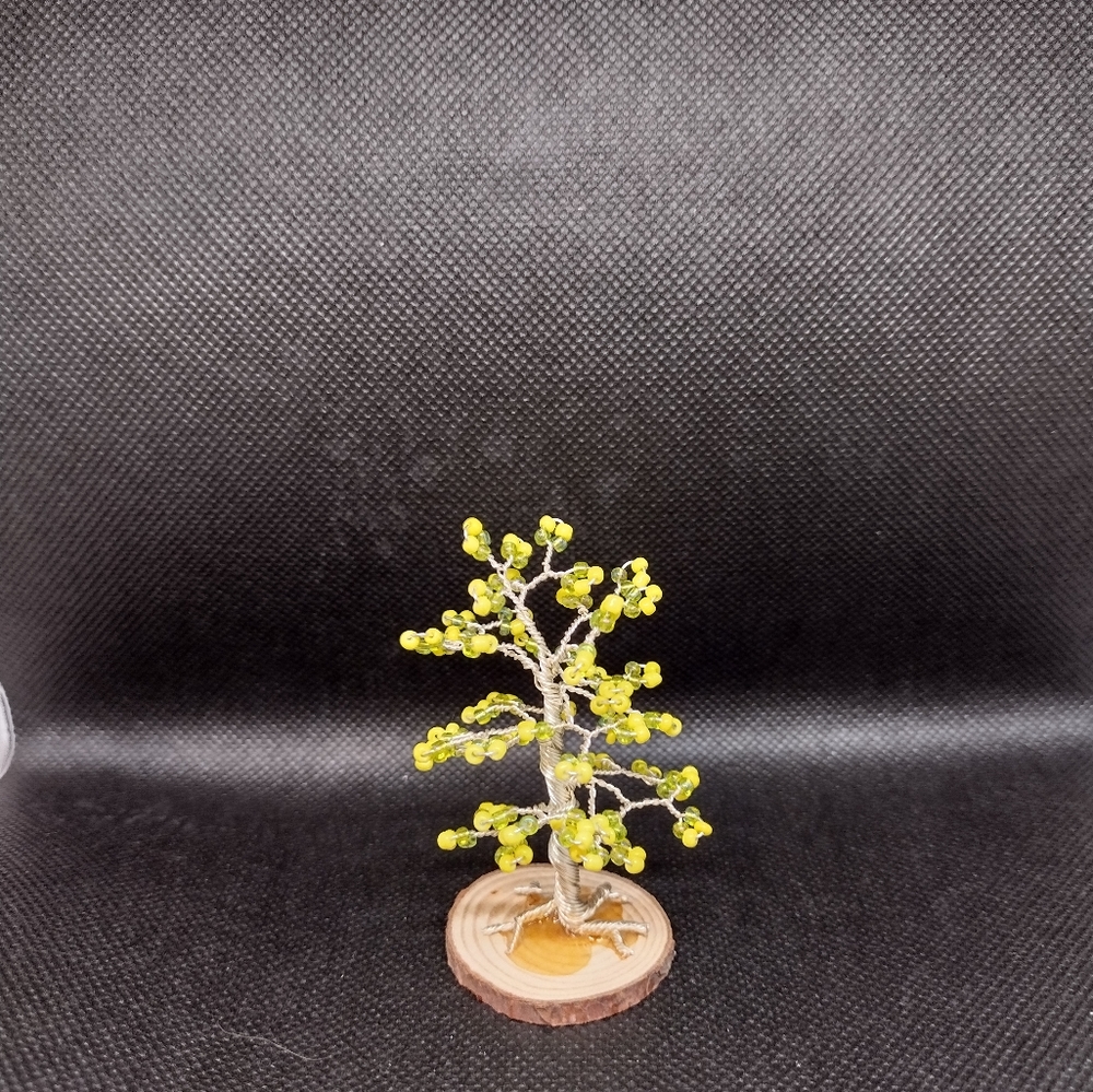 Small lucky lemon tree - Picture 3 of 4